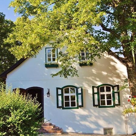 Landsitz Oberhof Petit Hotel Muggendorf  Exterior foto